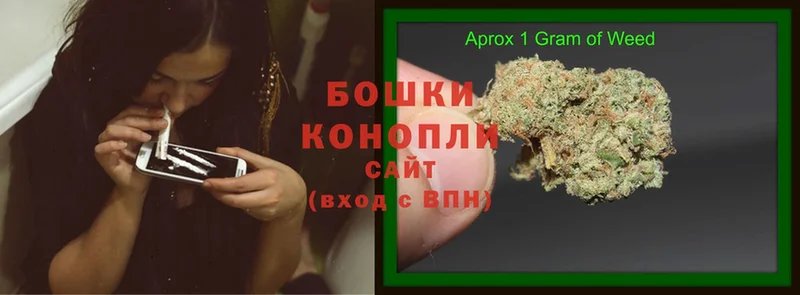 Канабис OG Kush  Ногинск 